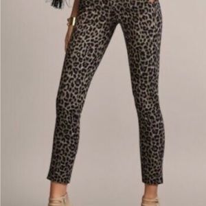CAbi Leopard pants